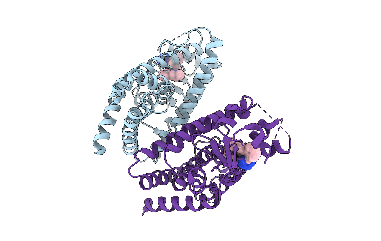 3R8A image