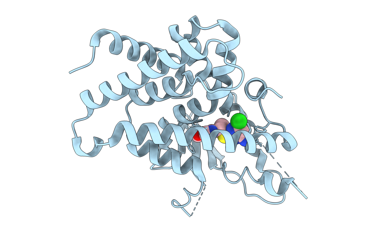 3R8D image