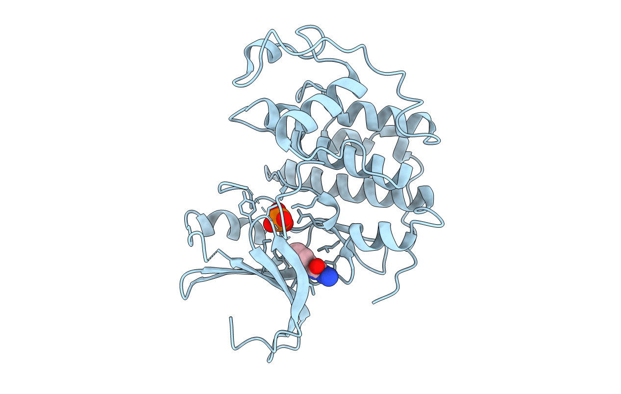 3R8M image