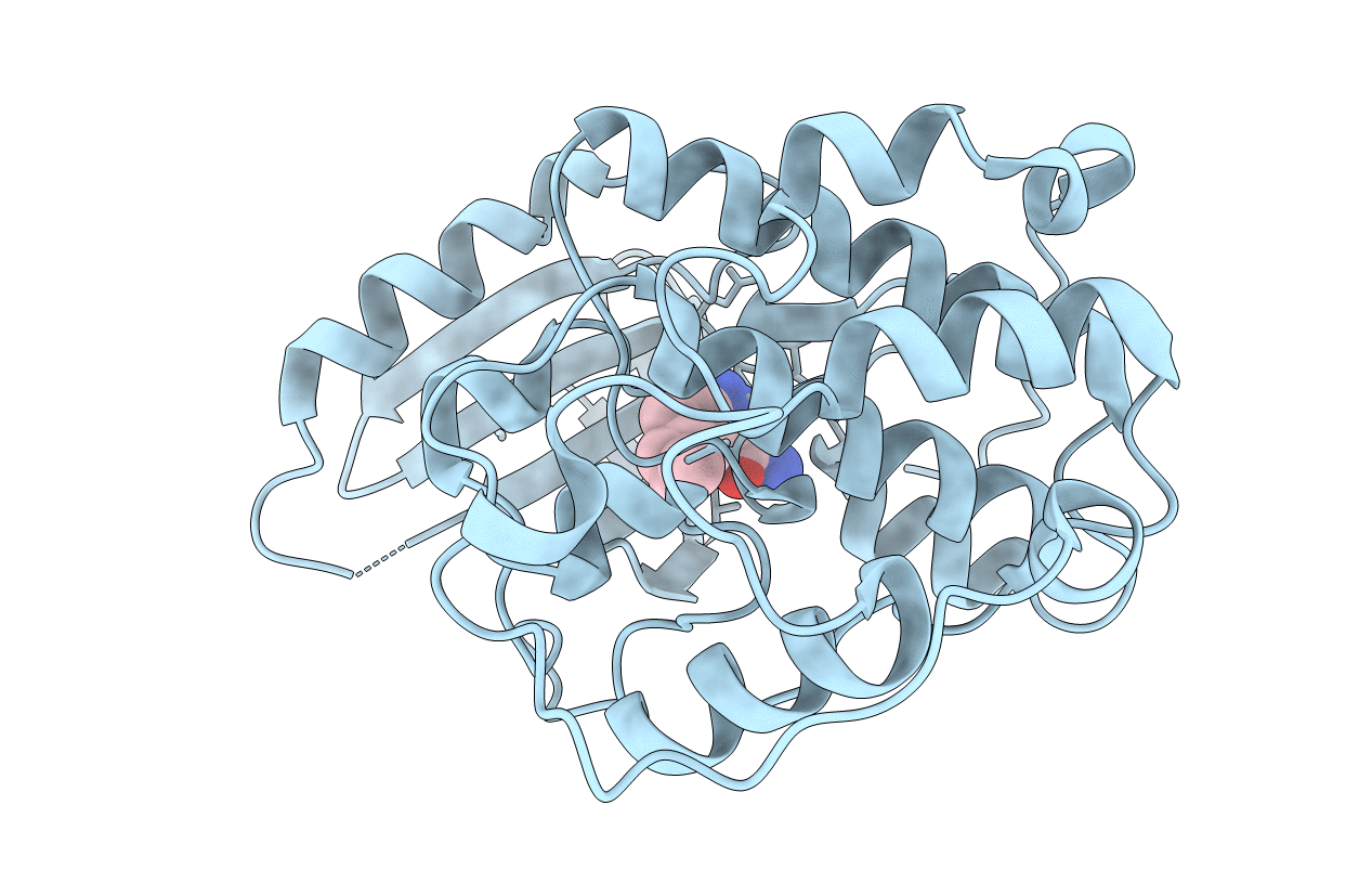 3R8P image