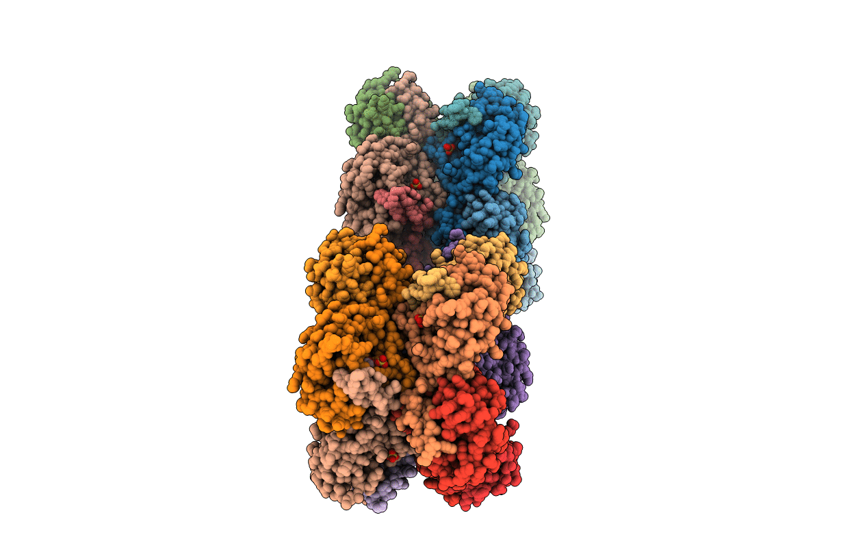 3R8R image