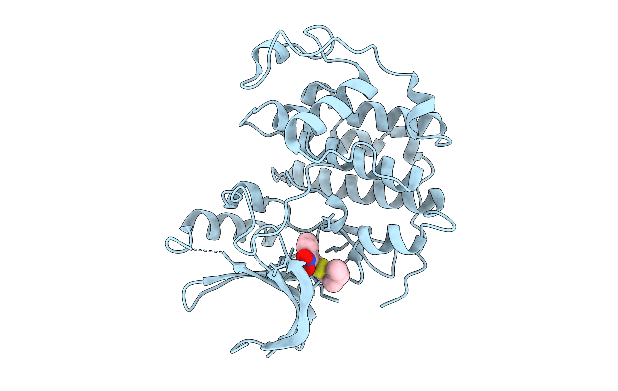 3R8V image