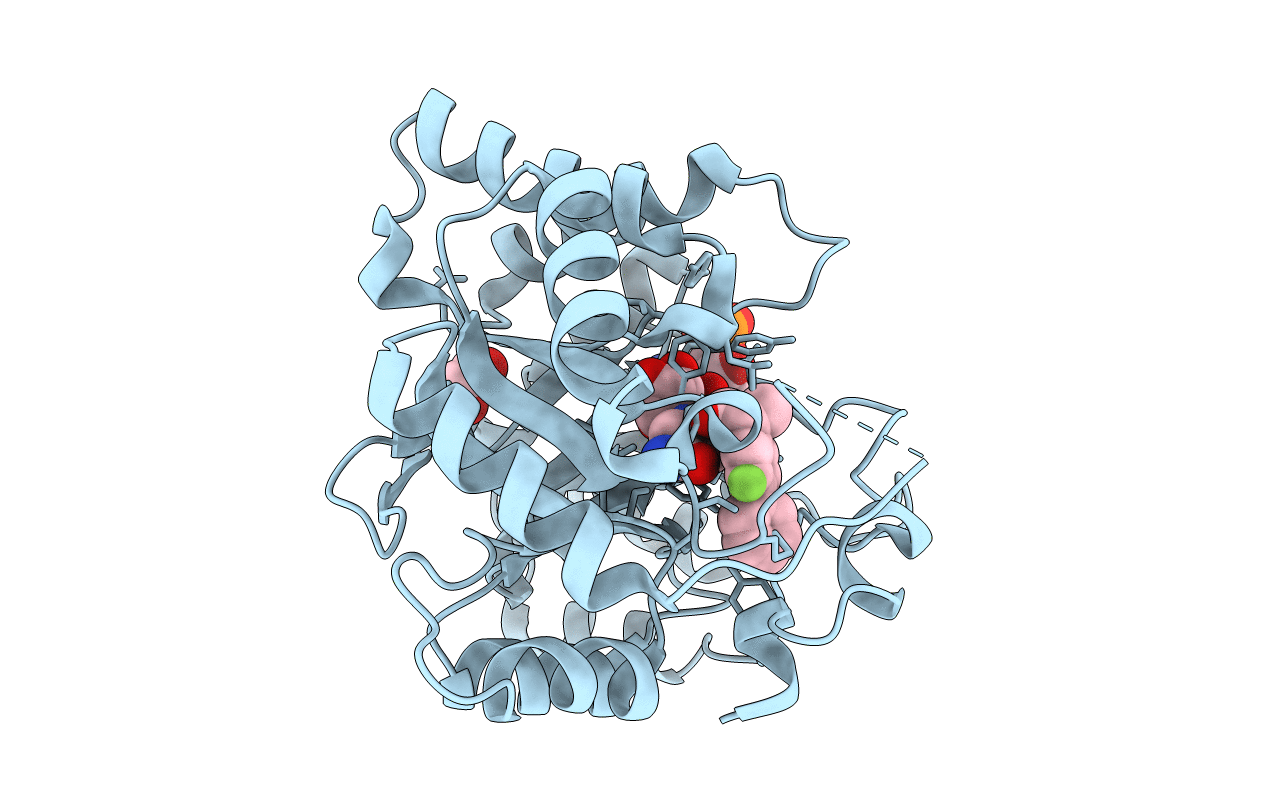 3R94 image