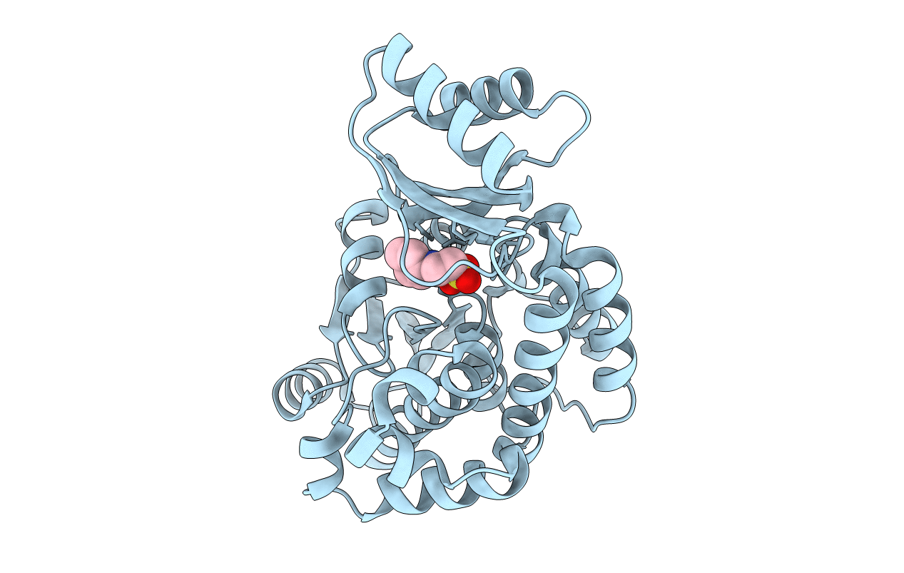 3R97 image
