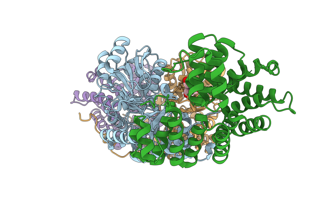 3R9A image