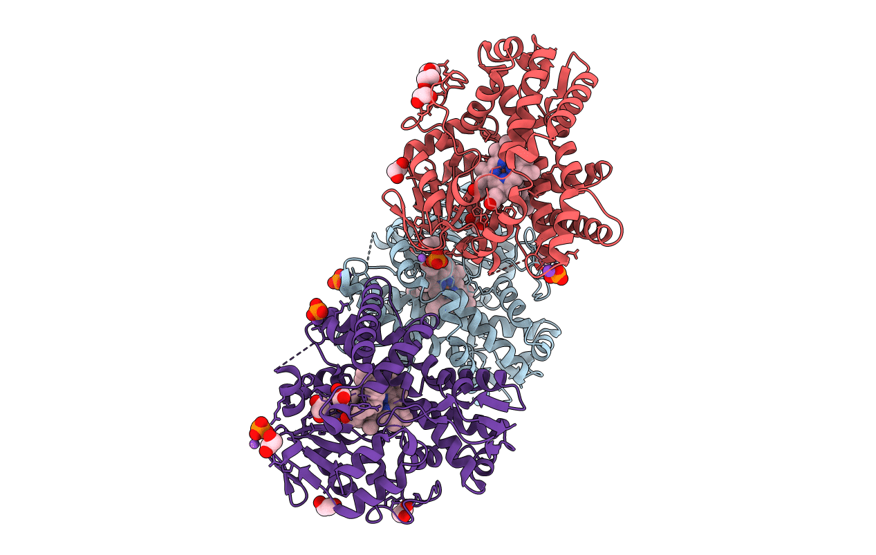 3R9B image