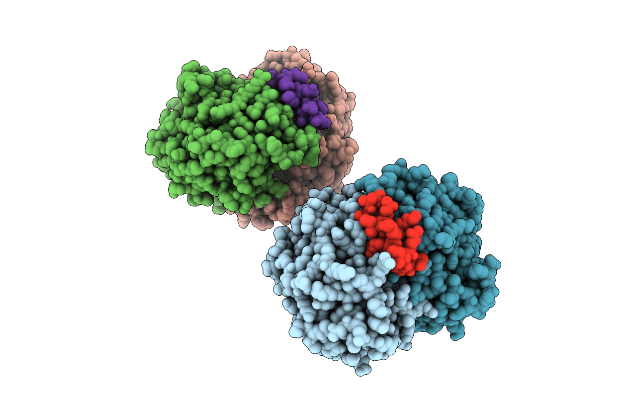 3R9I image