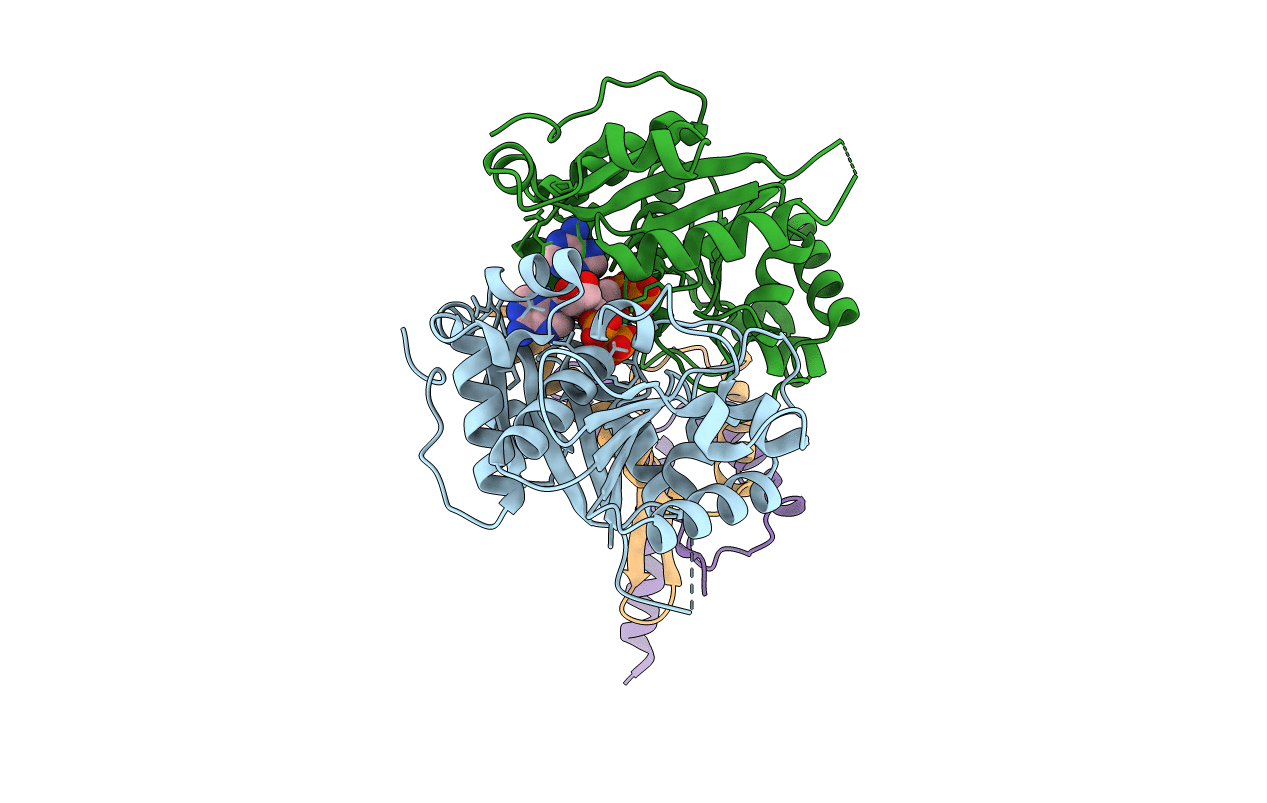 3R9J image