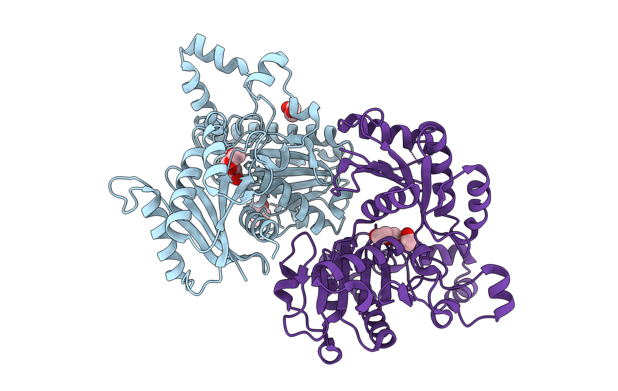 3r9p image