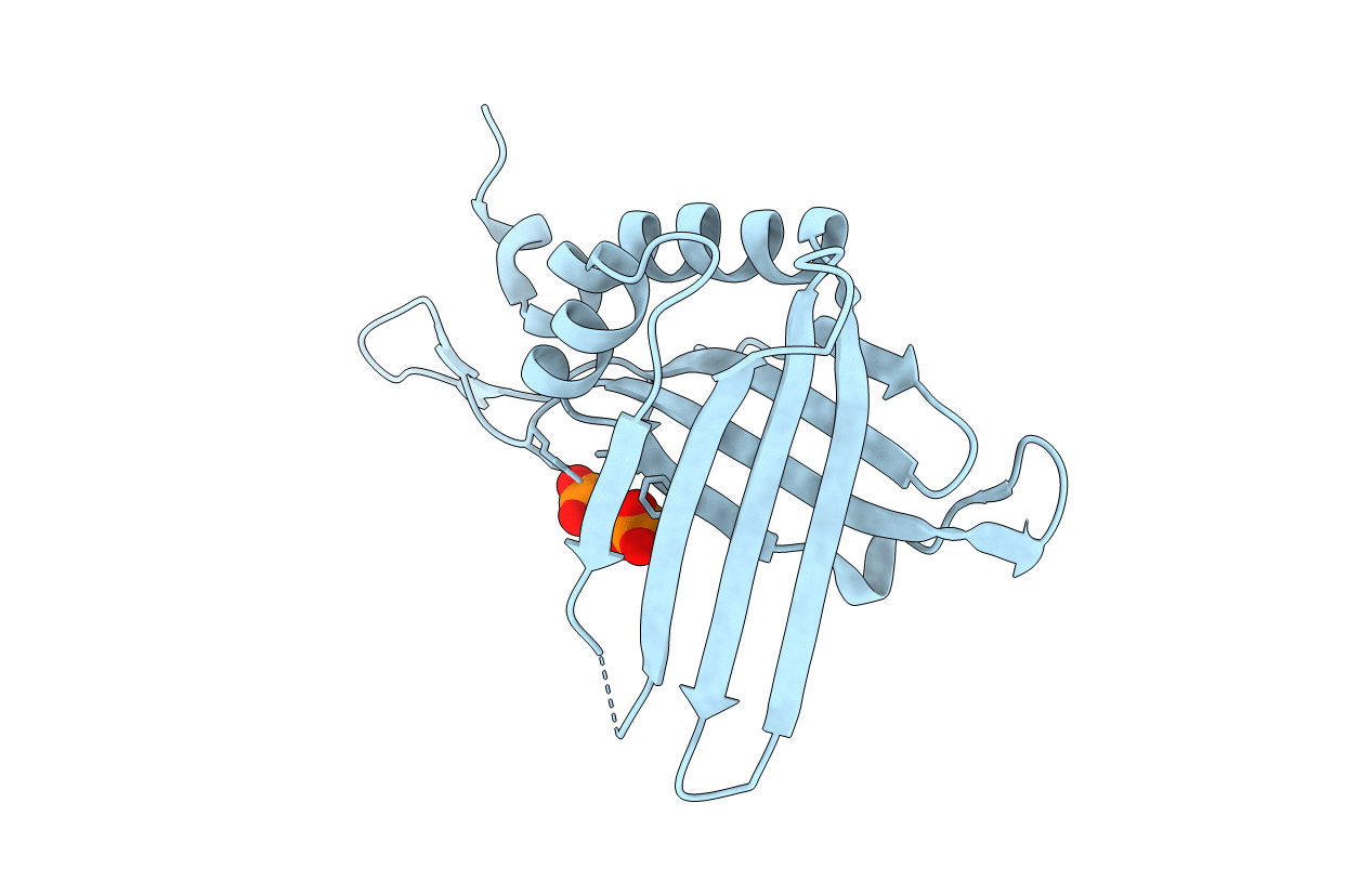 3R9Z image