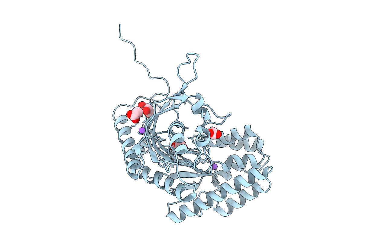 3RAC image