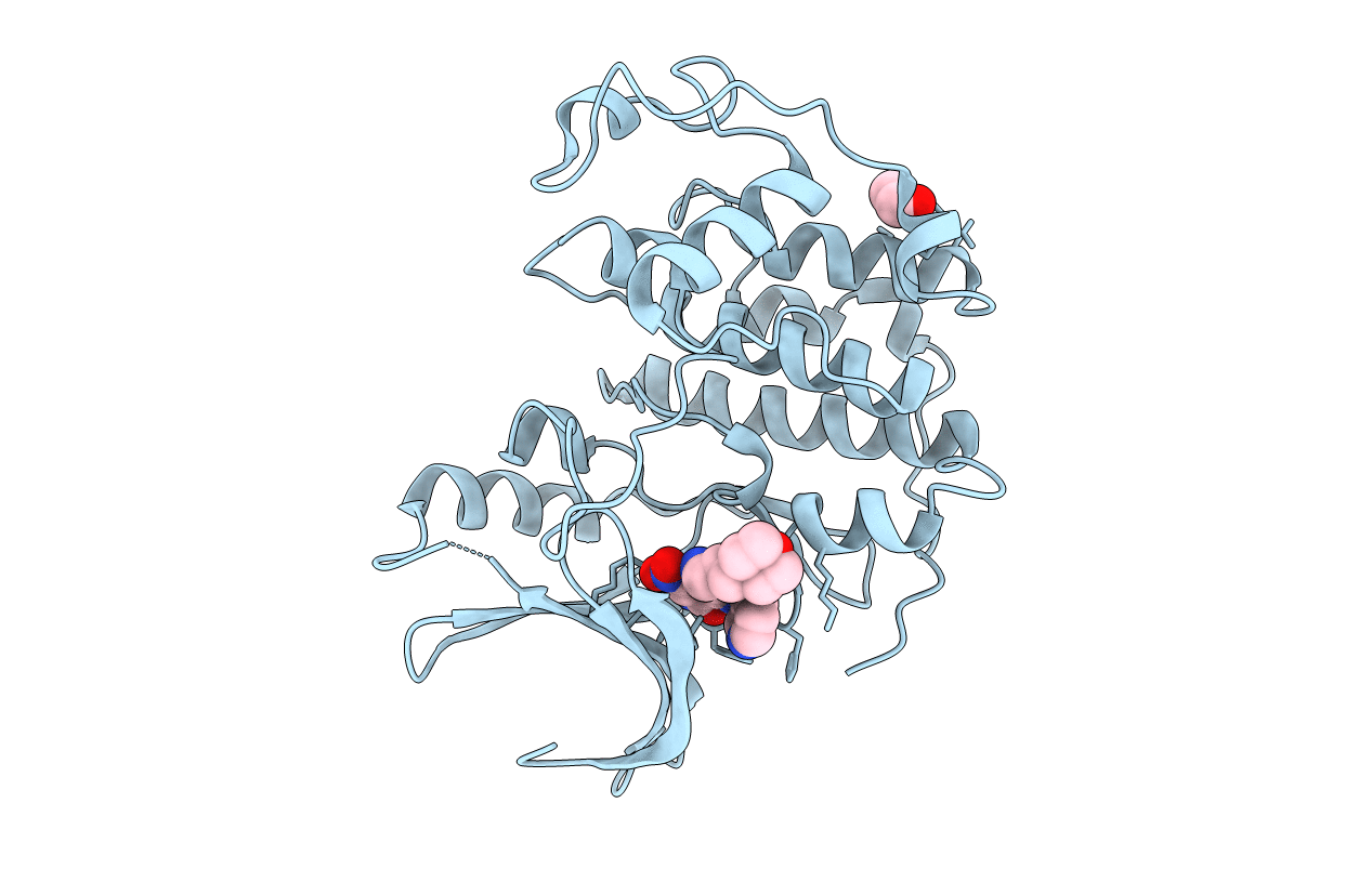 3RAI image