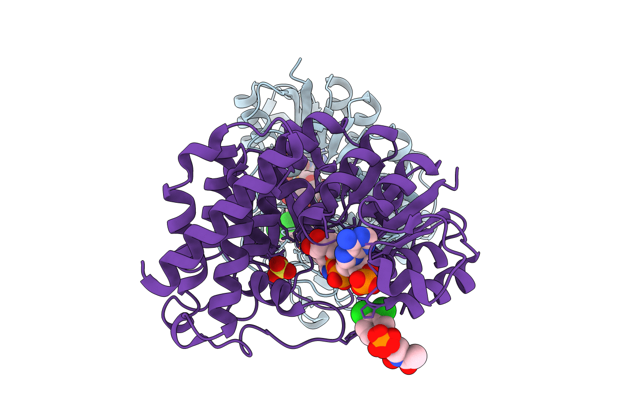 3RAS image