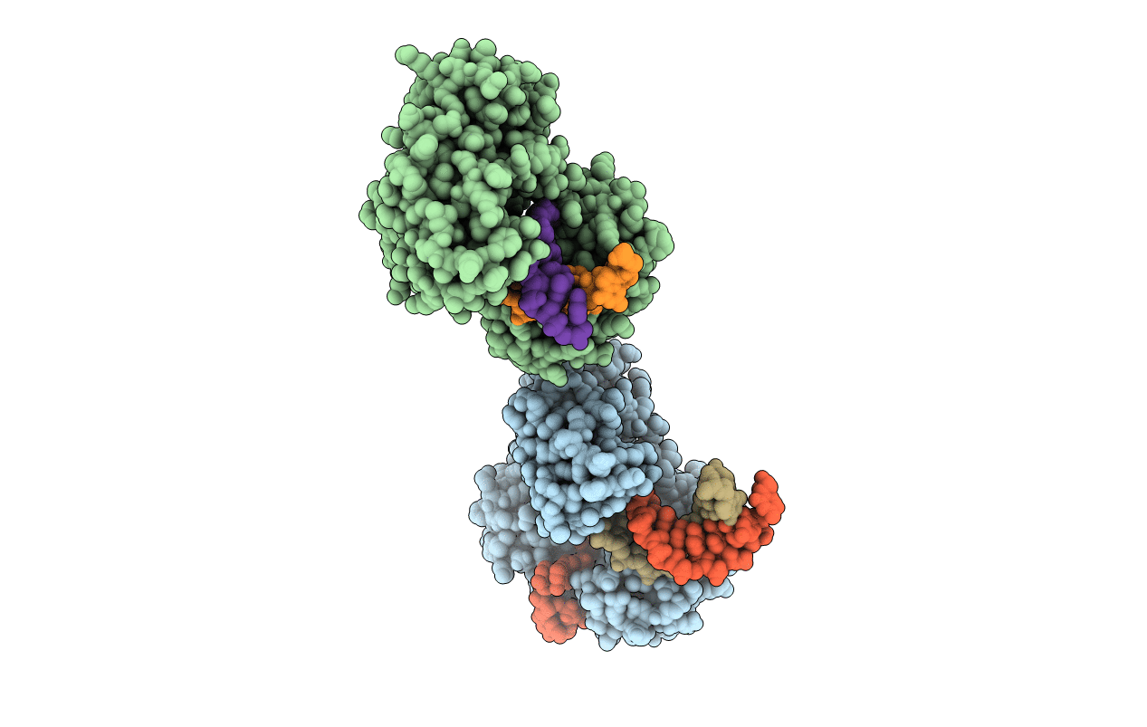 3RBE image