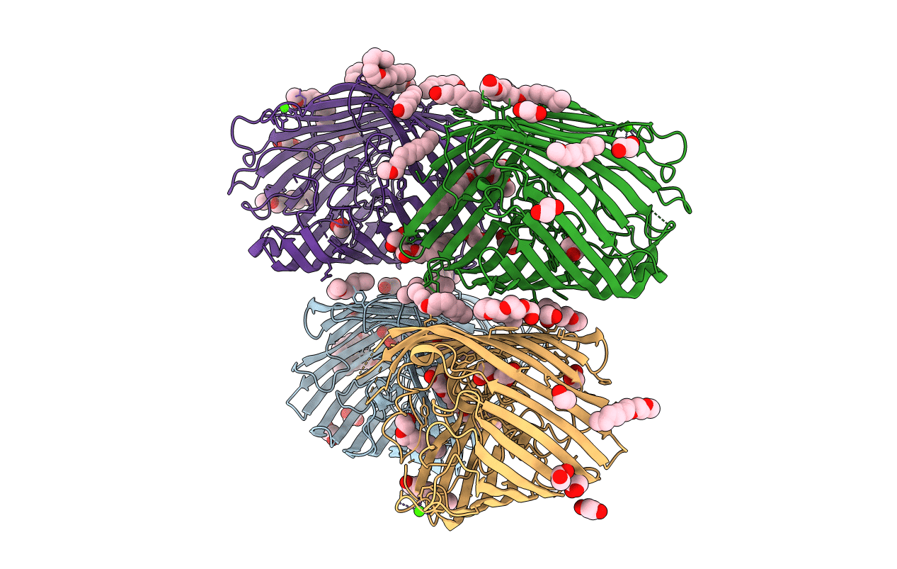 3RBH image