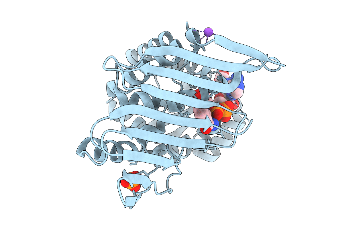 3RBV image