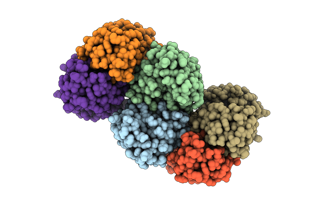 3RBX image