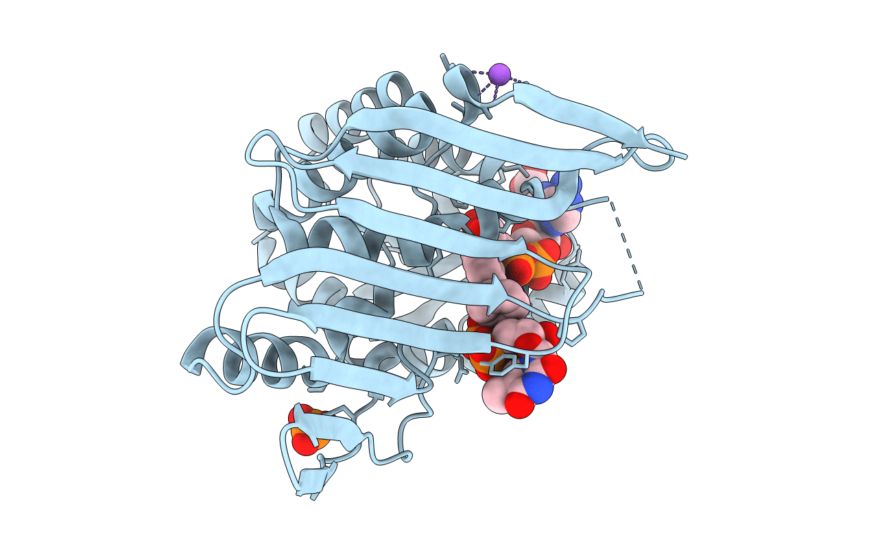 3RC2 image
