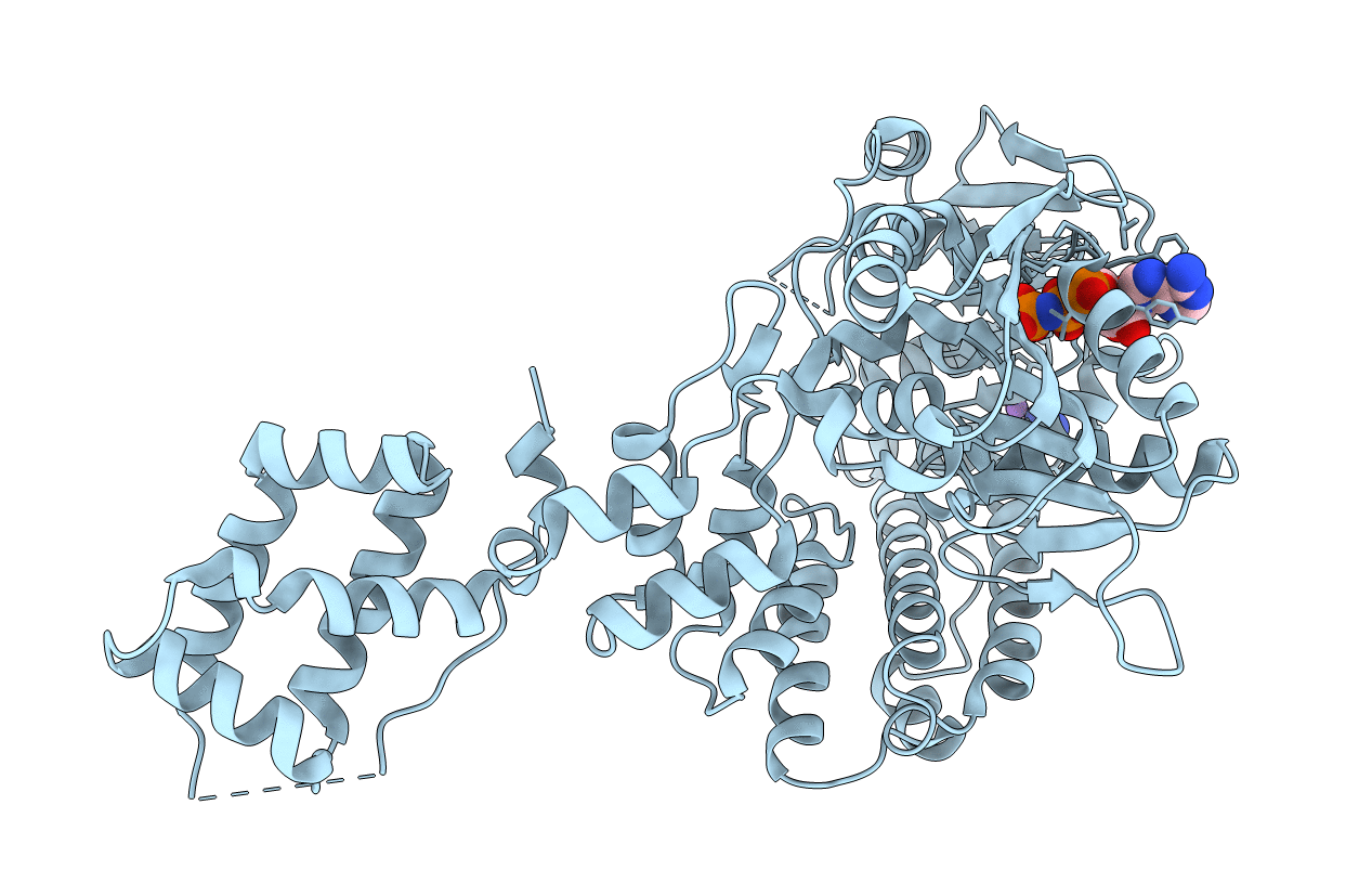 3RC3 image