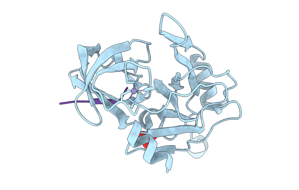 3RC4 image