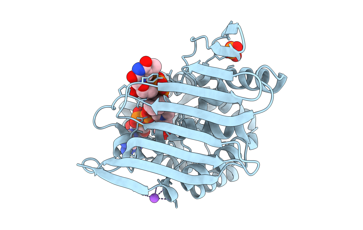 3RC7 image