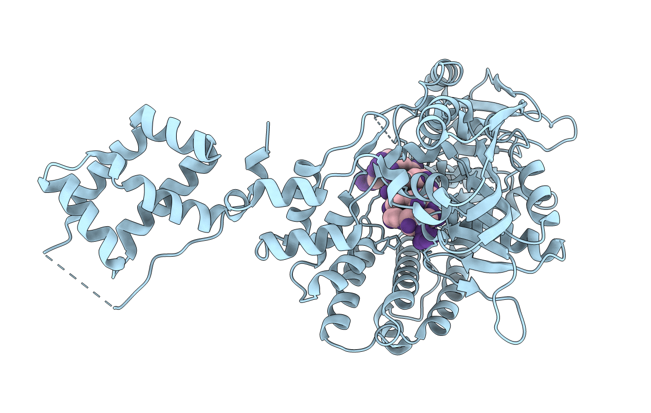 3RC8 image