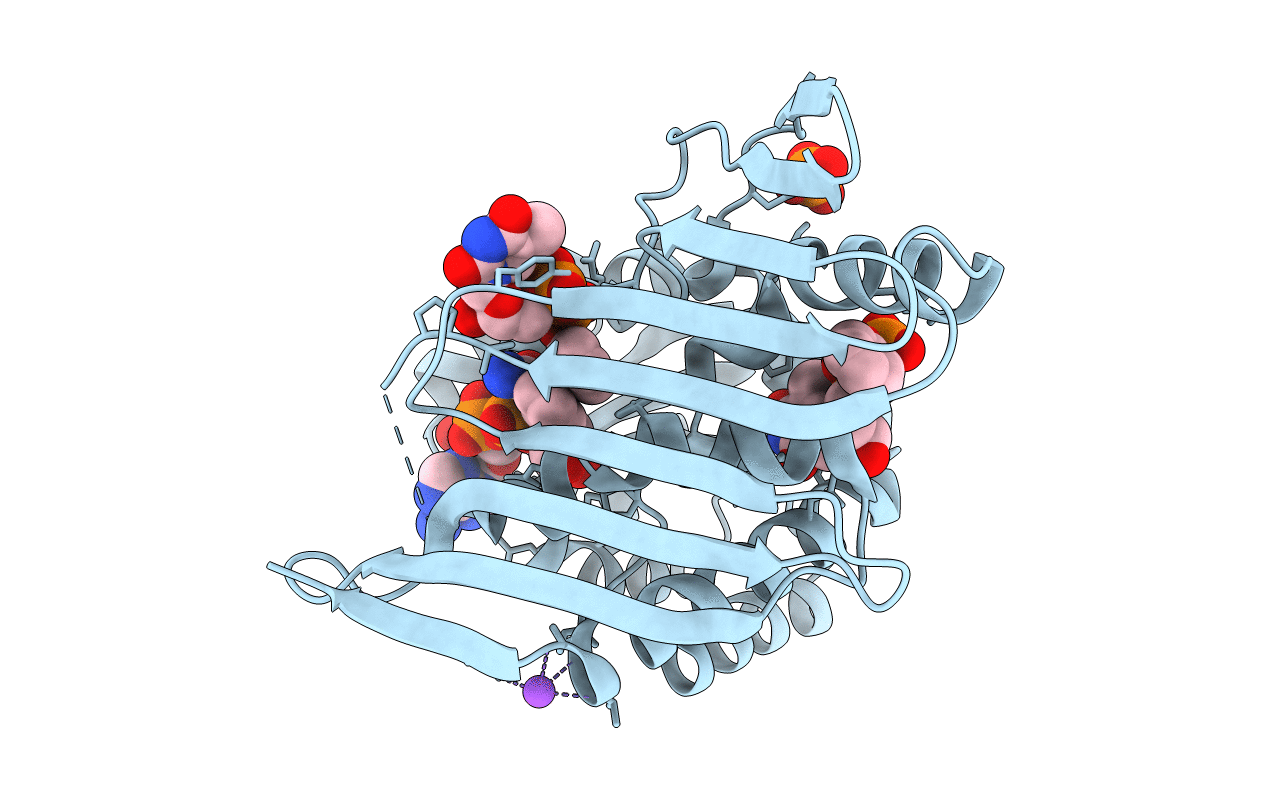 3RC9 image