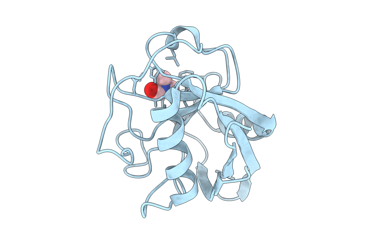 3RCG image