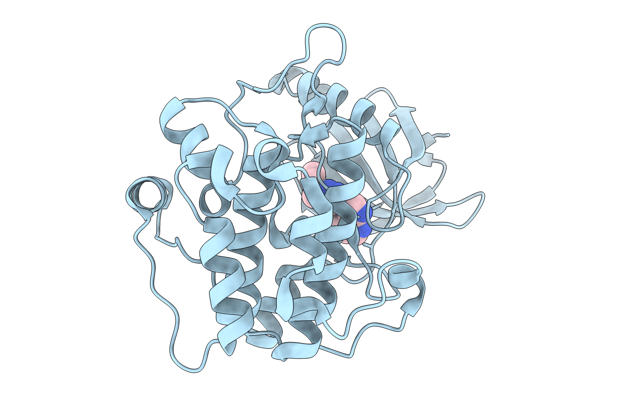 3RCJ image