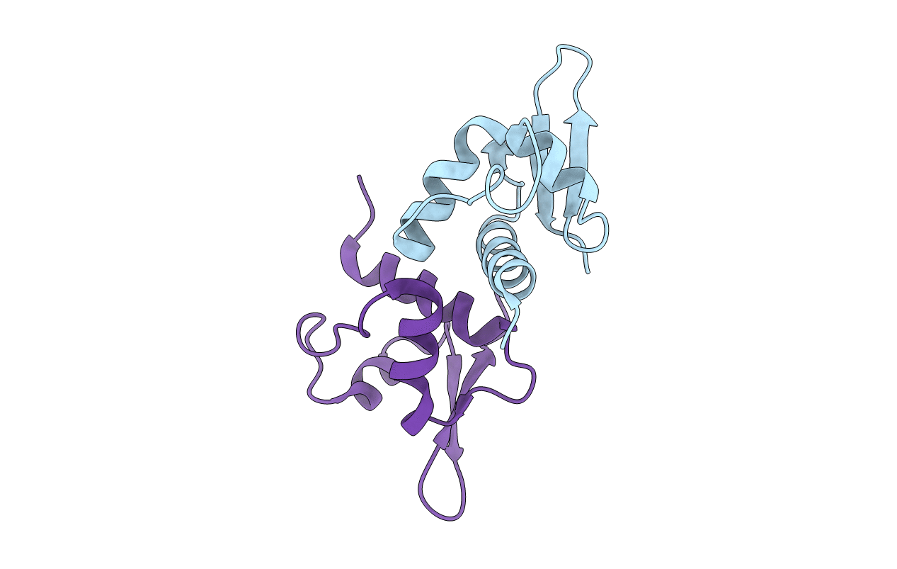 3RCO image