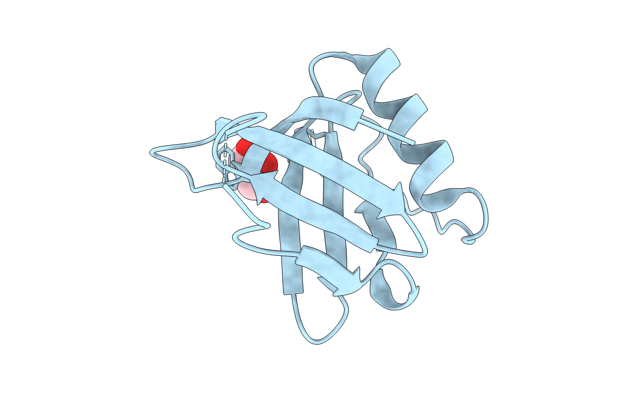 3RCP image