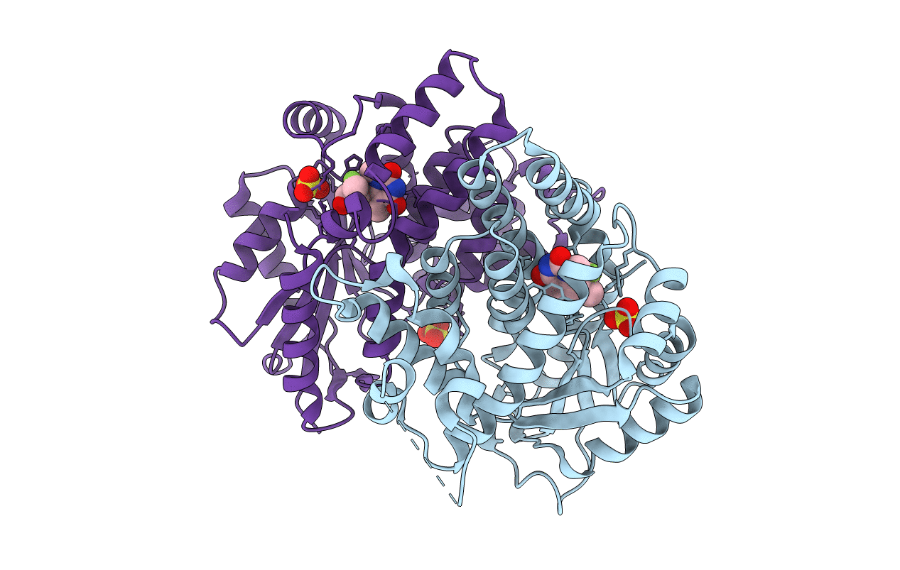 3RDP image