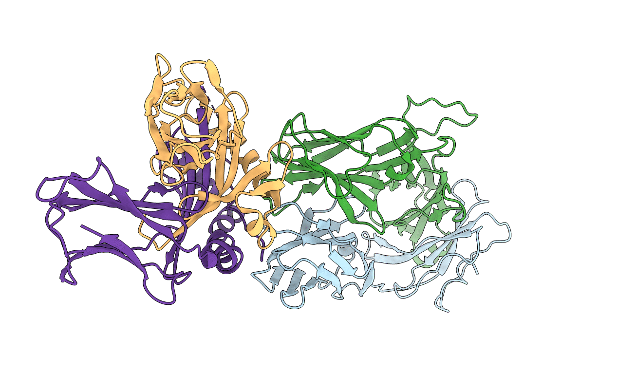 3RDT image
