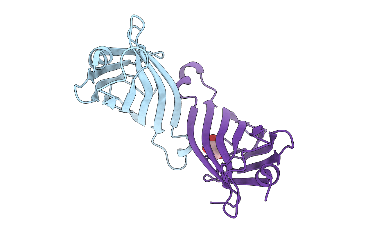 3RDX image