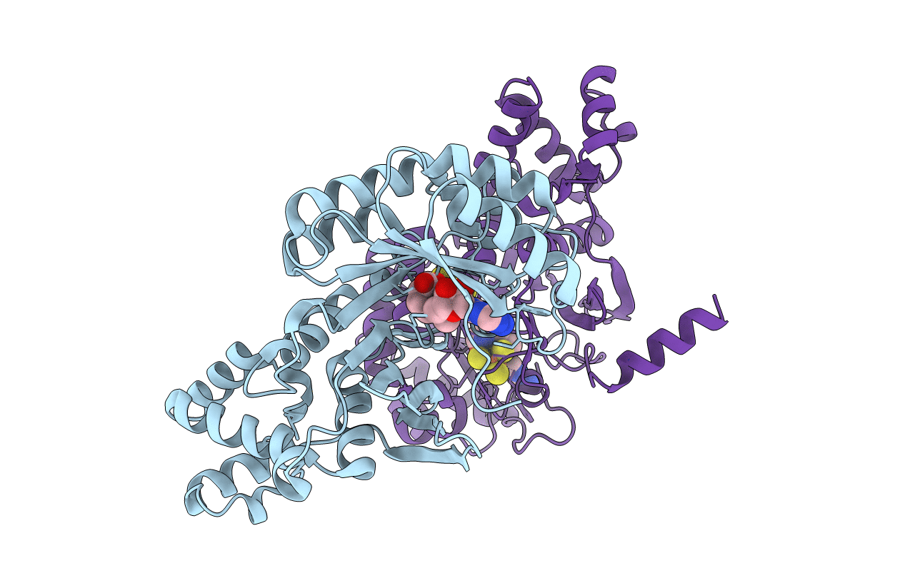 3RFA image
