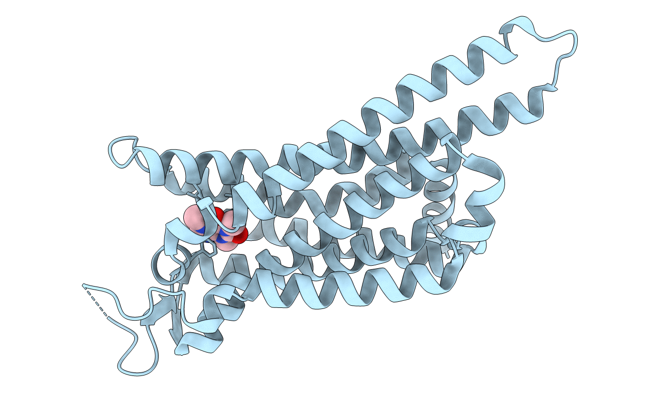 3RFM image