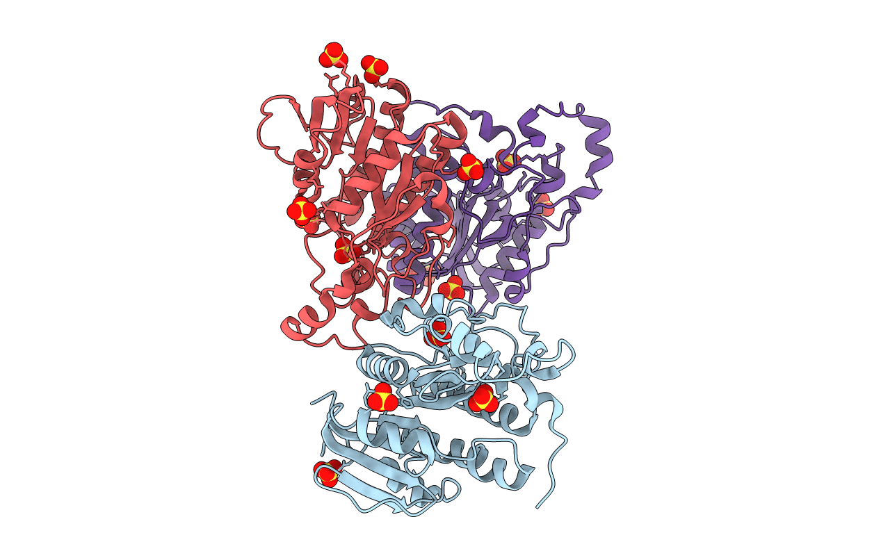 3RFT image