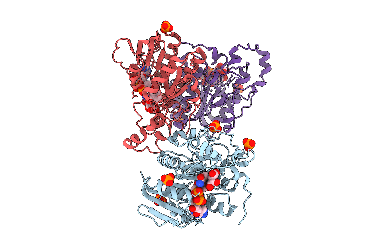 3RFV image