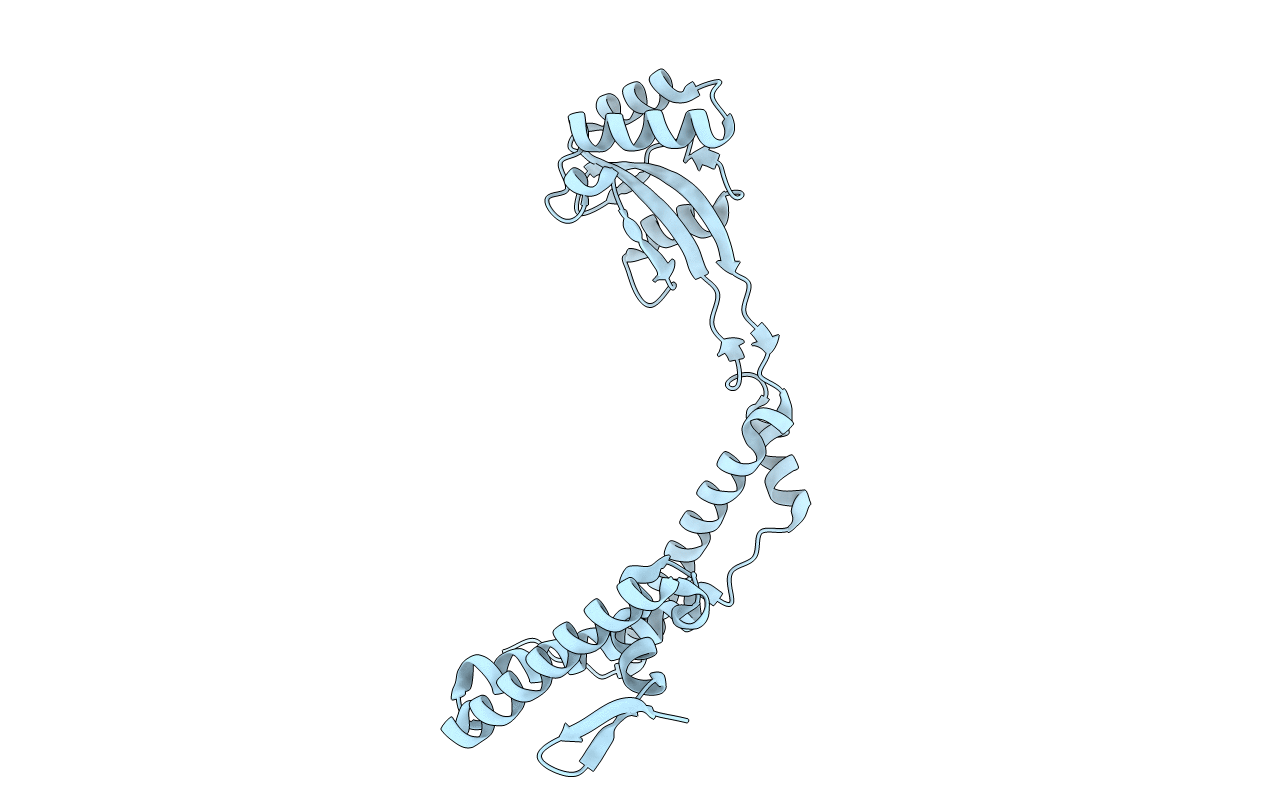 3RFW image