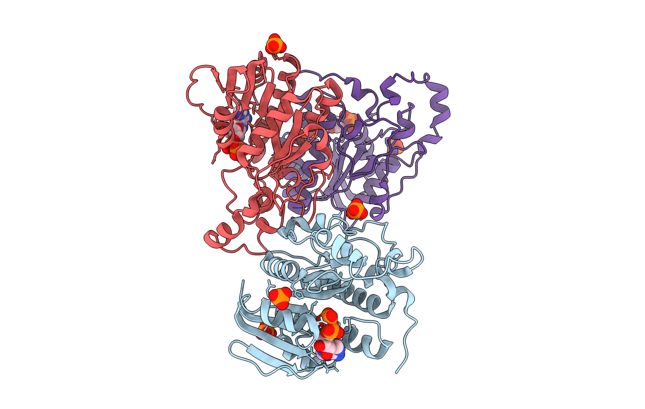 3RFX image