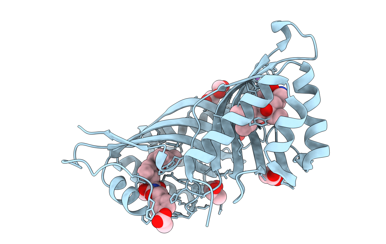 3RGA image