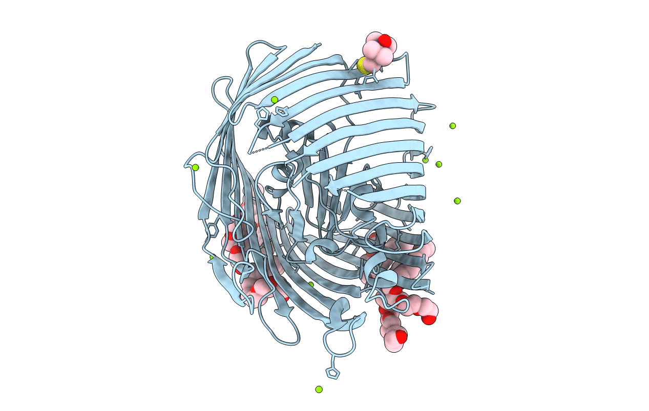 3RGM image