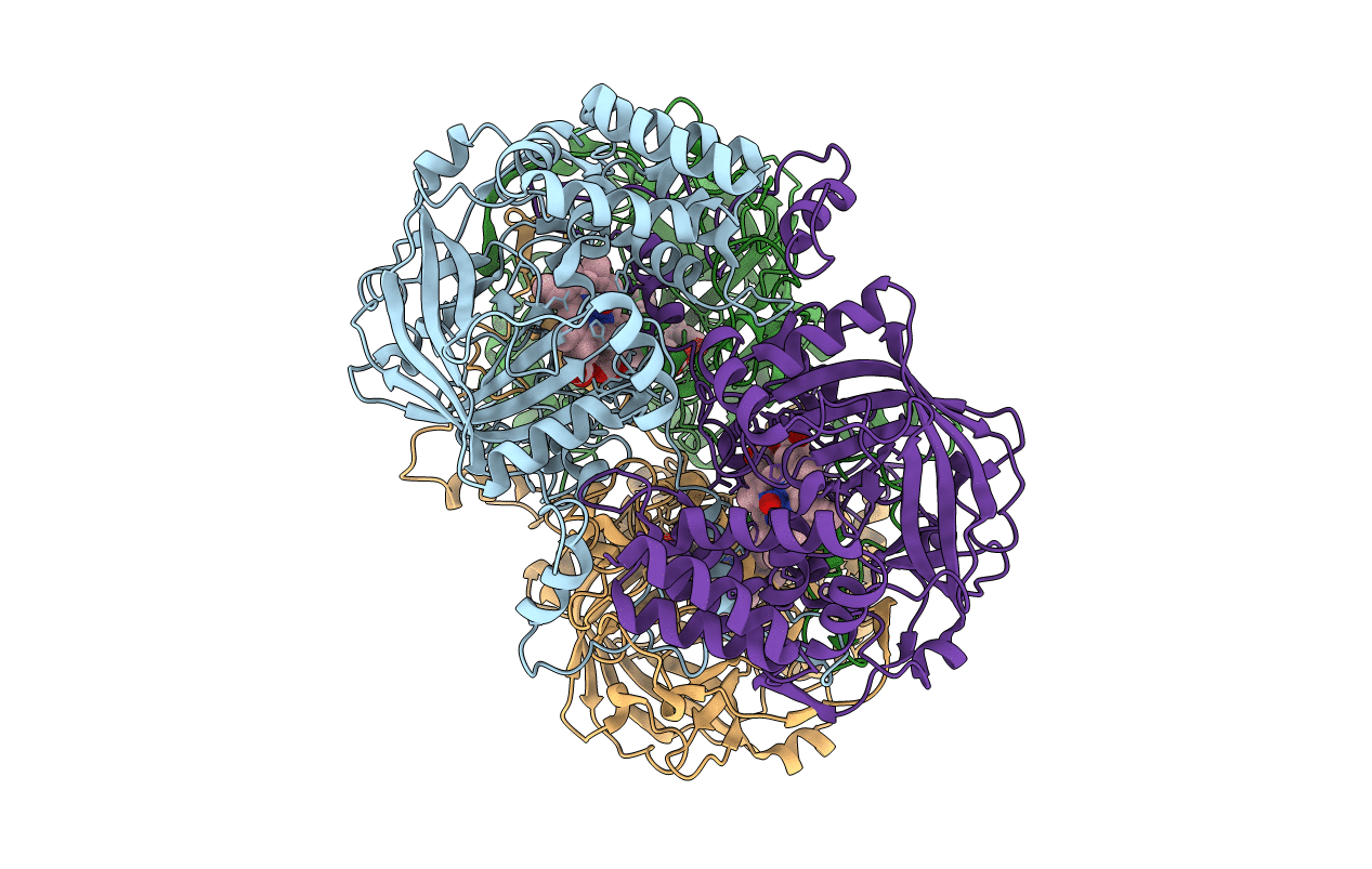 3RGP image