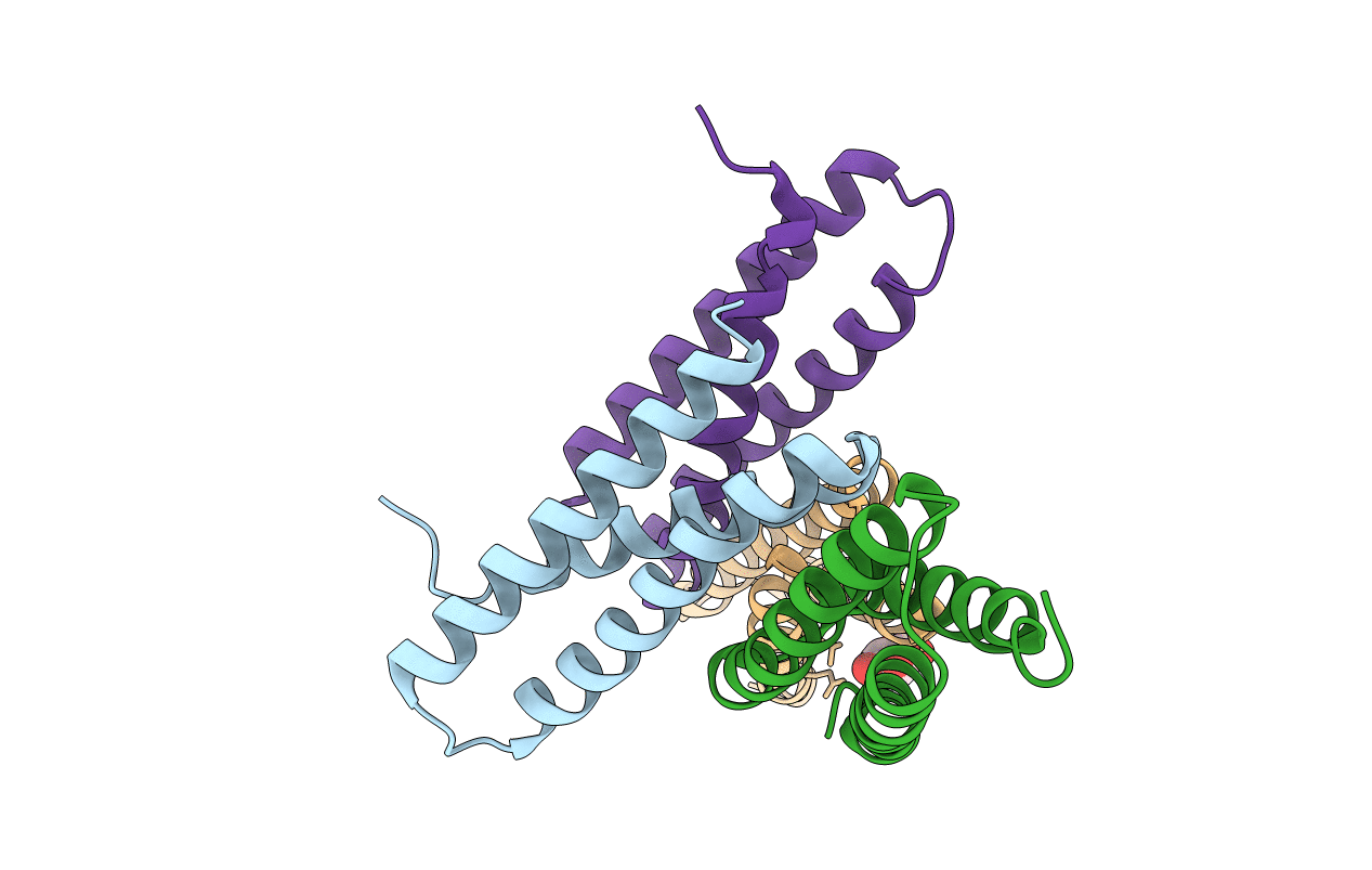 3RGU image