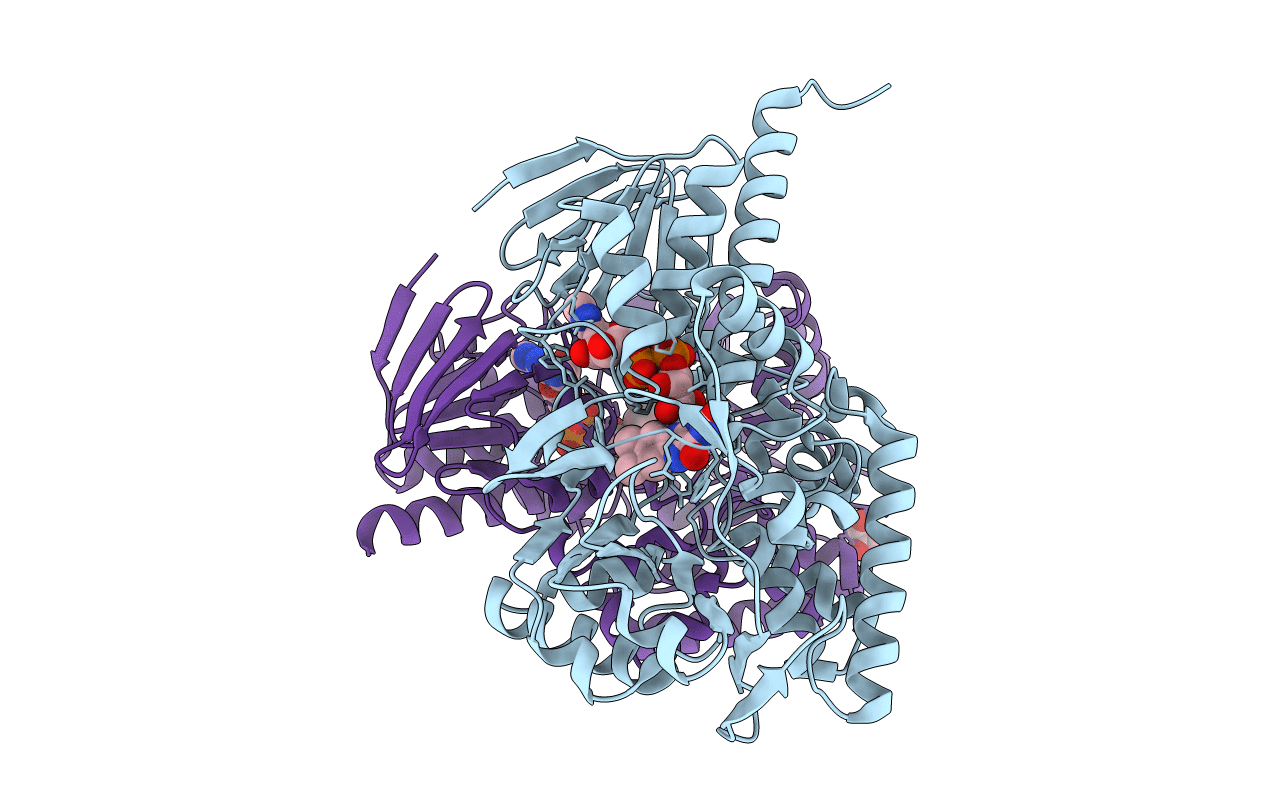 3RHA image
