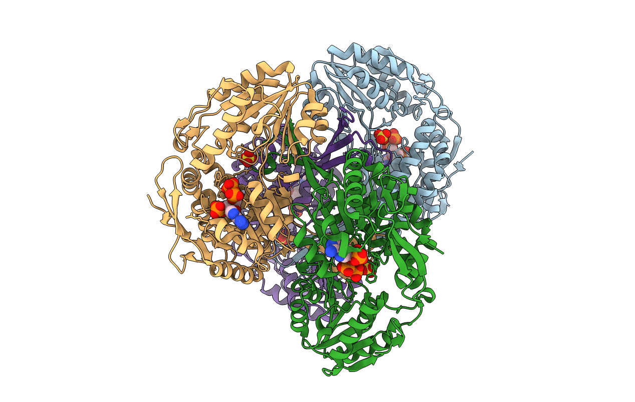3RHH image
