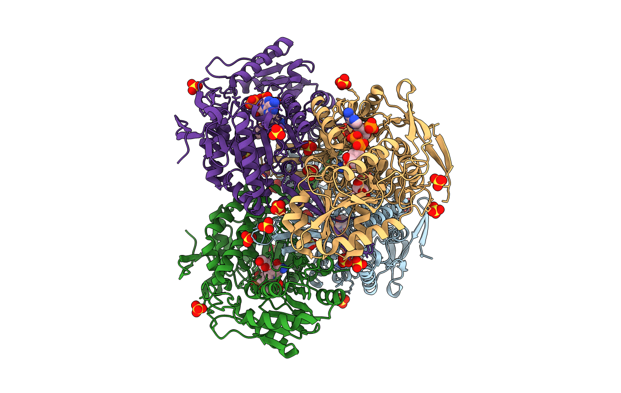 3RHJ image