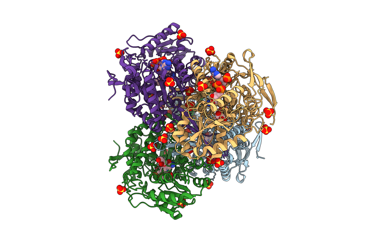 3RHL image