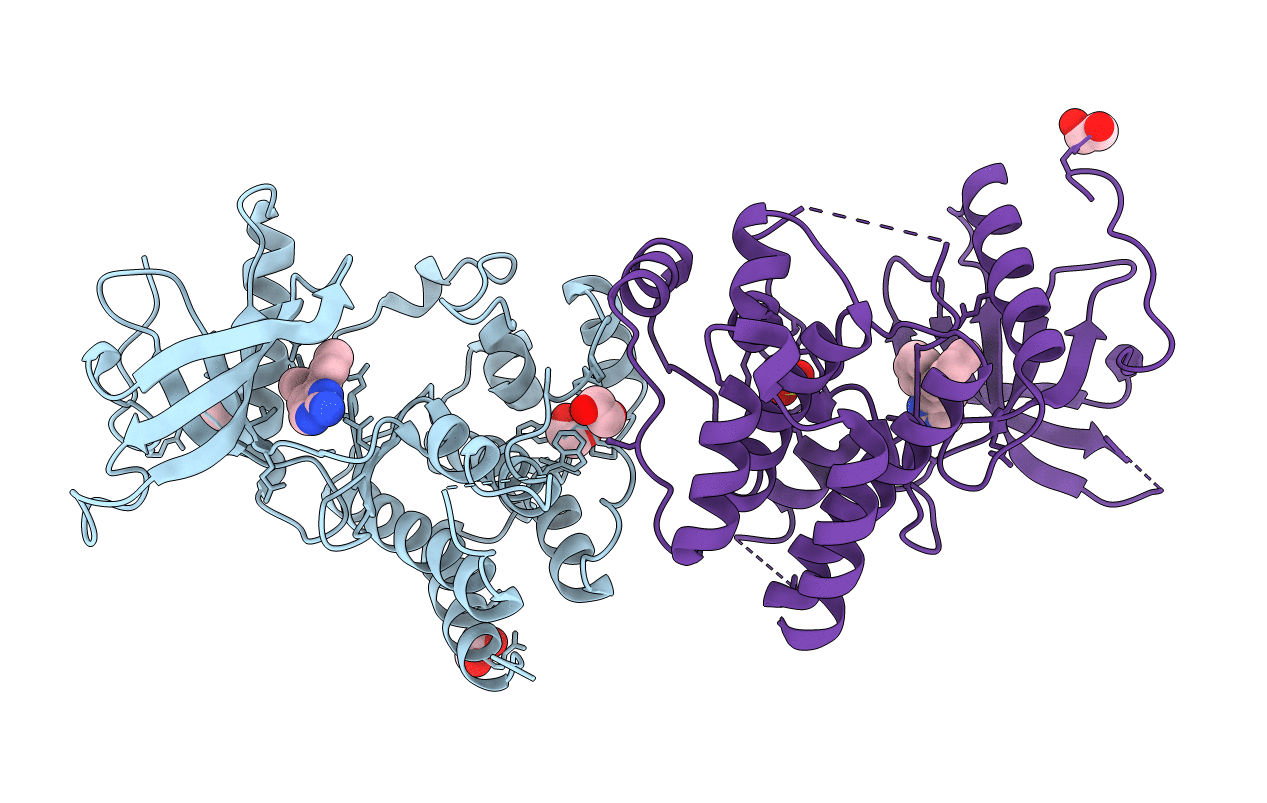 3RHX image