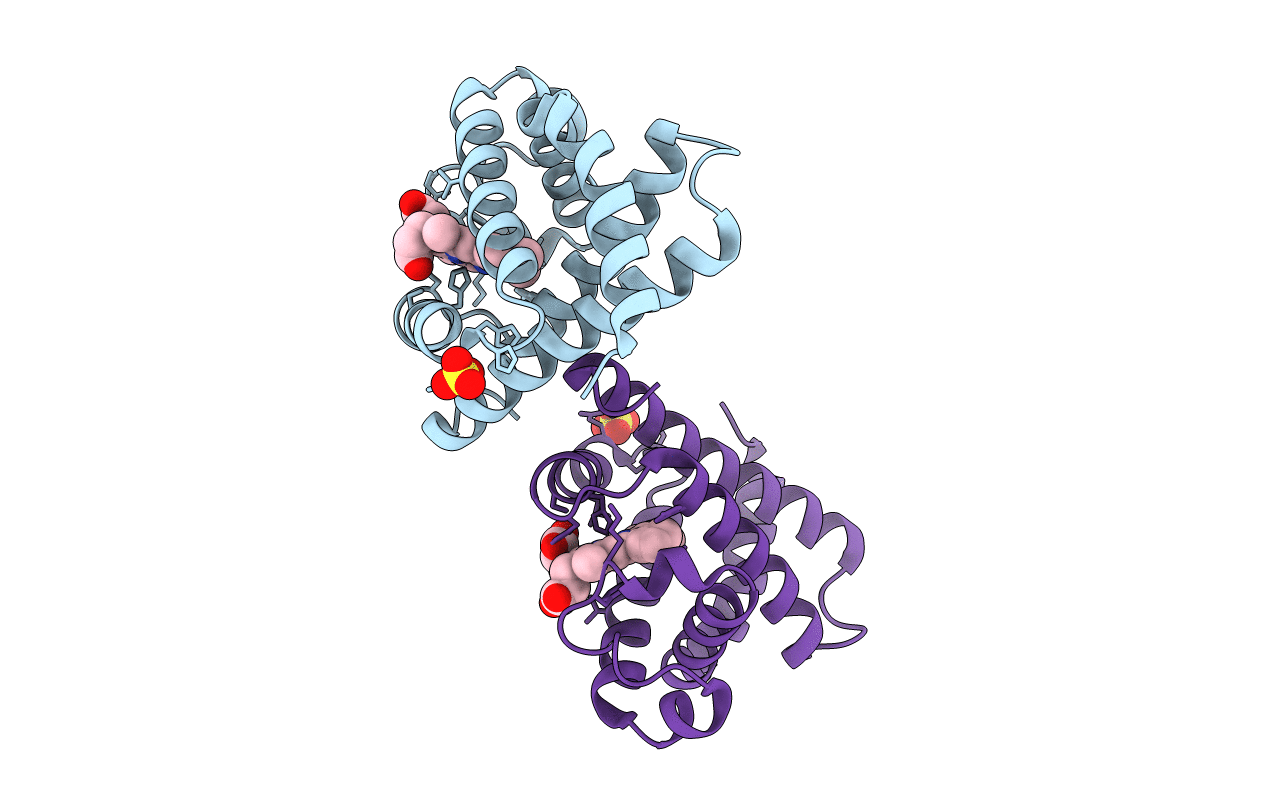 3RJ6 image
